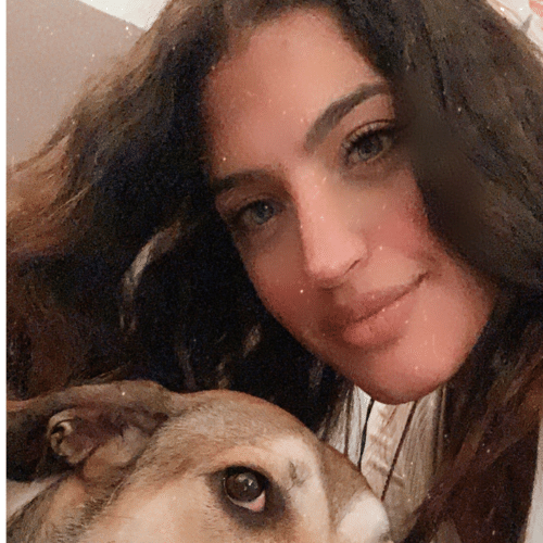 The Confident Canine Dog Training & Boarding West Palm Beach